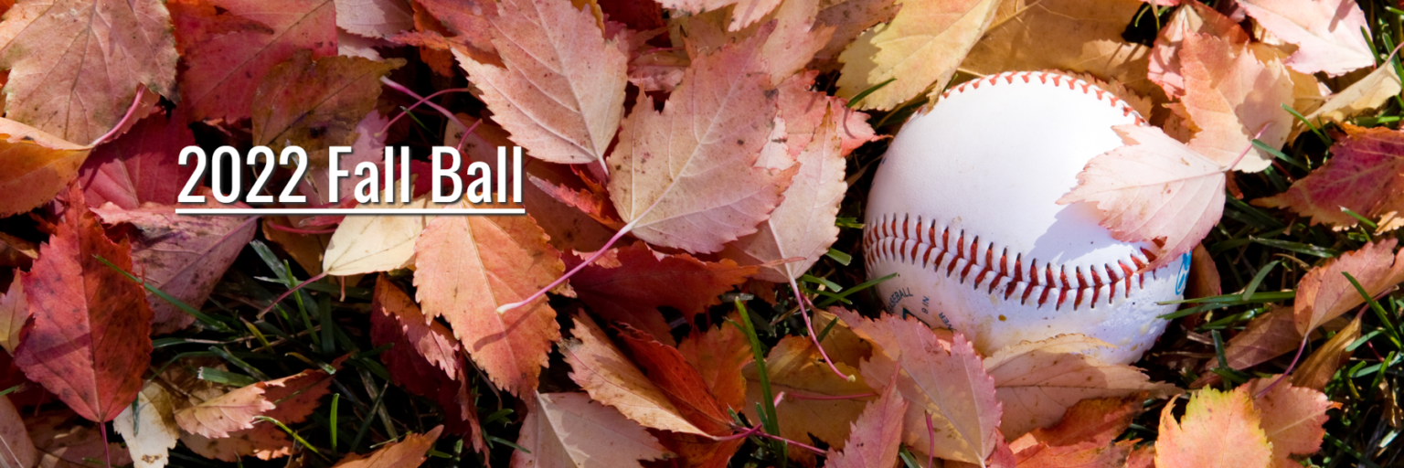 Panthers Fall Ball Kitchener Minor Baseball